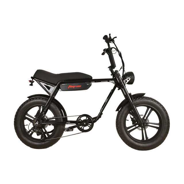 New super 20 Inch Beach Electric city bike 48v 500w-1000w electric bike