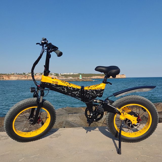 Door To Door 1000w Motor Bezior XF200 48V 15Ah Battery Electric Mountain Bicycle Fat Tire Usa Electric Bike Ebike