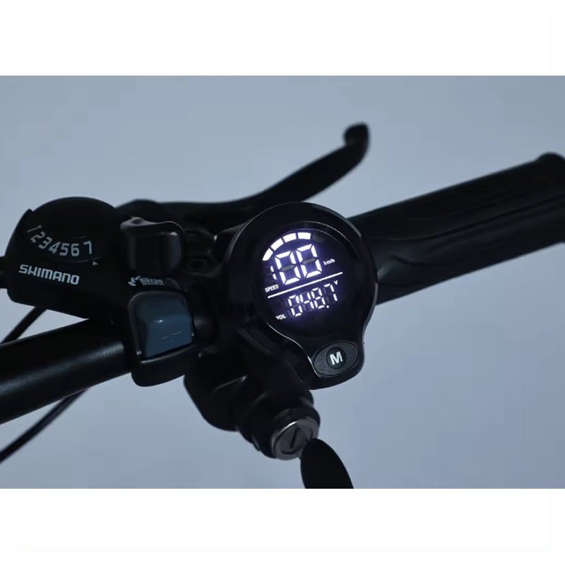 Wholesale Price 7 Speed Lithium Battery Fat Tire 20*4.0 Electric Mountain Bike 350W 500W Disc Brake for Adult Electric Snow Bike