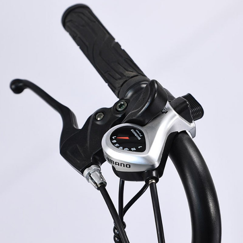 Wholesale Price 7 Speed Lithium Battery Fat Tire 20*4.0 Electric Mountain Bike 350W 500W Disc Brake for Adult Electric Snow Bike