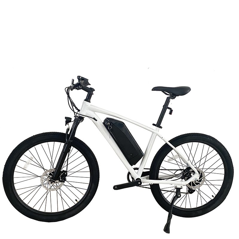 EU Overseas Warehouse Storage Cost-Effective Off-Road Electric City Bike 48V Sensor Technology Electronic Bike Perfect
