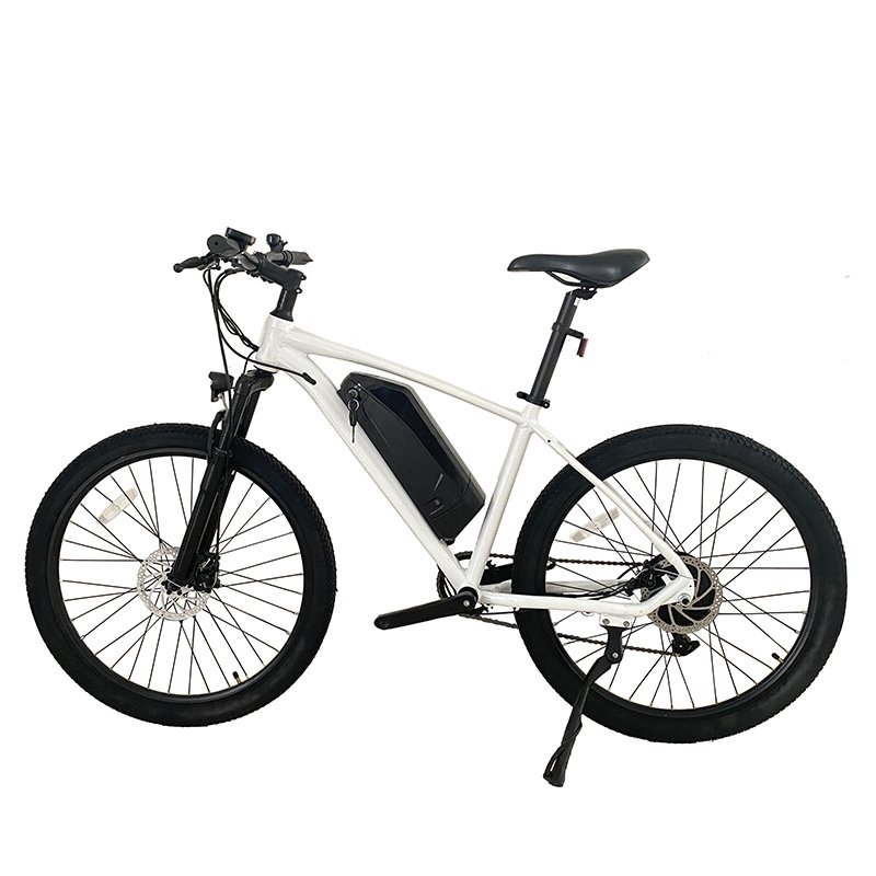 EU Overseas Warehouse Storage Cost-Effective Off-Road Electric City Bike 48V Sensor Technology Electronic Bike Perfect