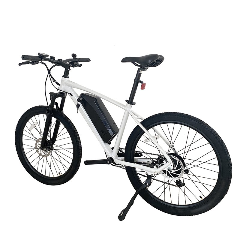 EU Overseas Warehouse Storage Cost-Effective Off-Road Electric City Bike 48V Sensor Technology Electronic Bike Perfect