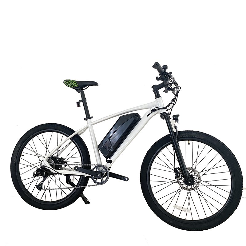 EU Overseas Warehouse Storage Cost-Effective Off-Road Electric City Bike 48V Sensor Technology Electronic Bike Perfect