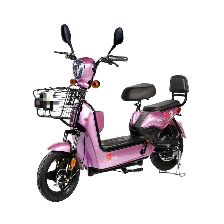 High Quality Two-Wheel Intelligent Variable-Speed Electric Bike 350W City Electric Bike