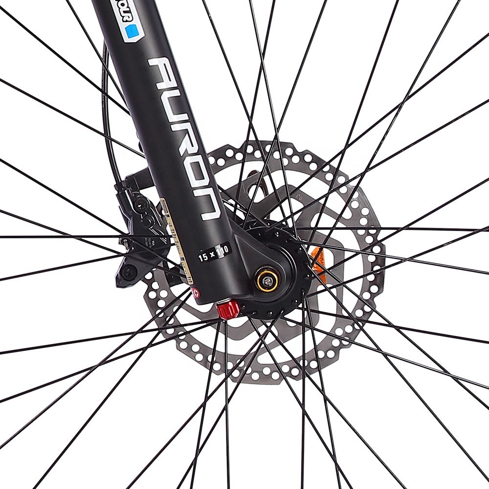 Hot sell electric bike from china 27.5"*2.6"Double Wall Alloy 10 speed 36V e mountain bike for adults