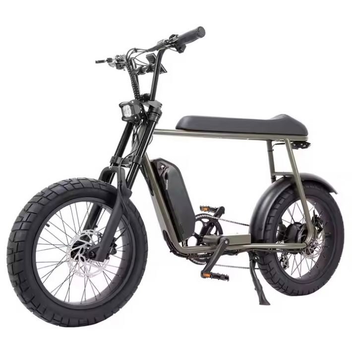 500w 48v 16ah Custom Logo Dual Battery Cheap E Bike For Sale Fat Tire Hybrid Road Adults Mountain Snow Electric Bicycle