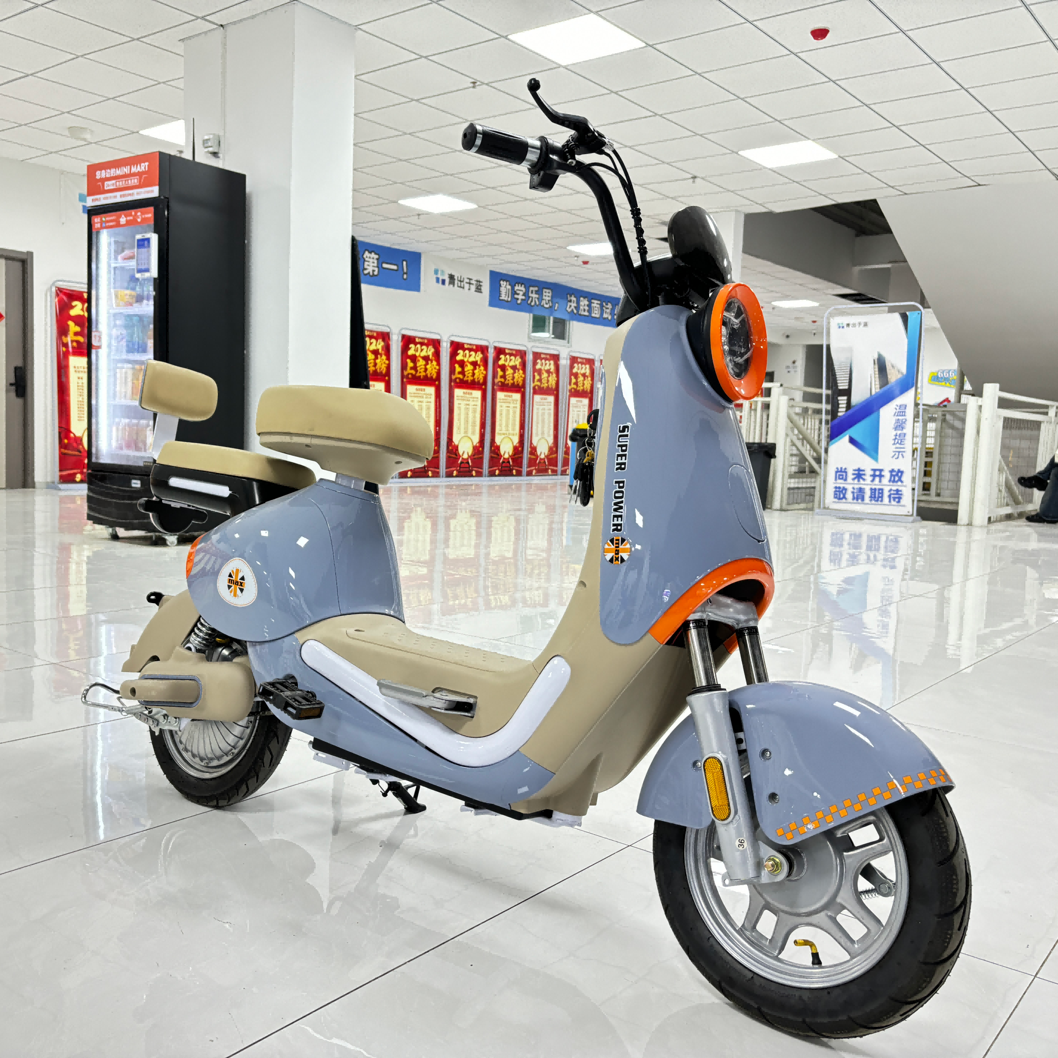 EU Warehouse Phoenix Brand 48V 500W 20AH 30AH City Commuting 14 Inch Electric Bike 2 Seats Electric Bike Adult Electric Bike