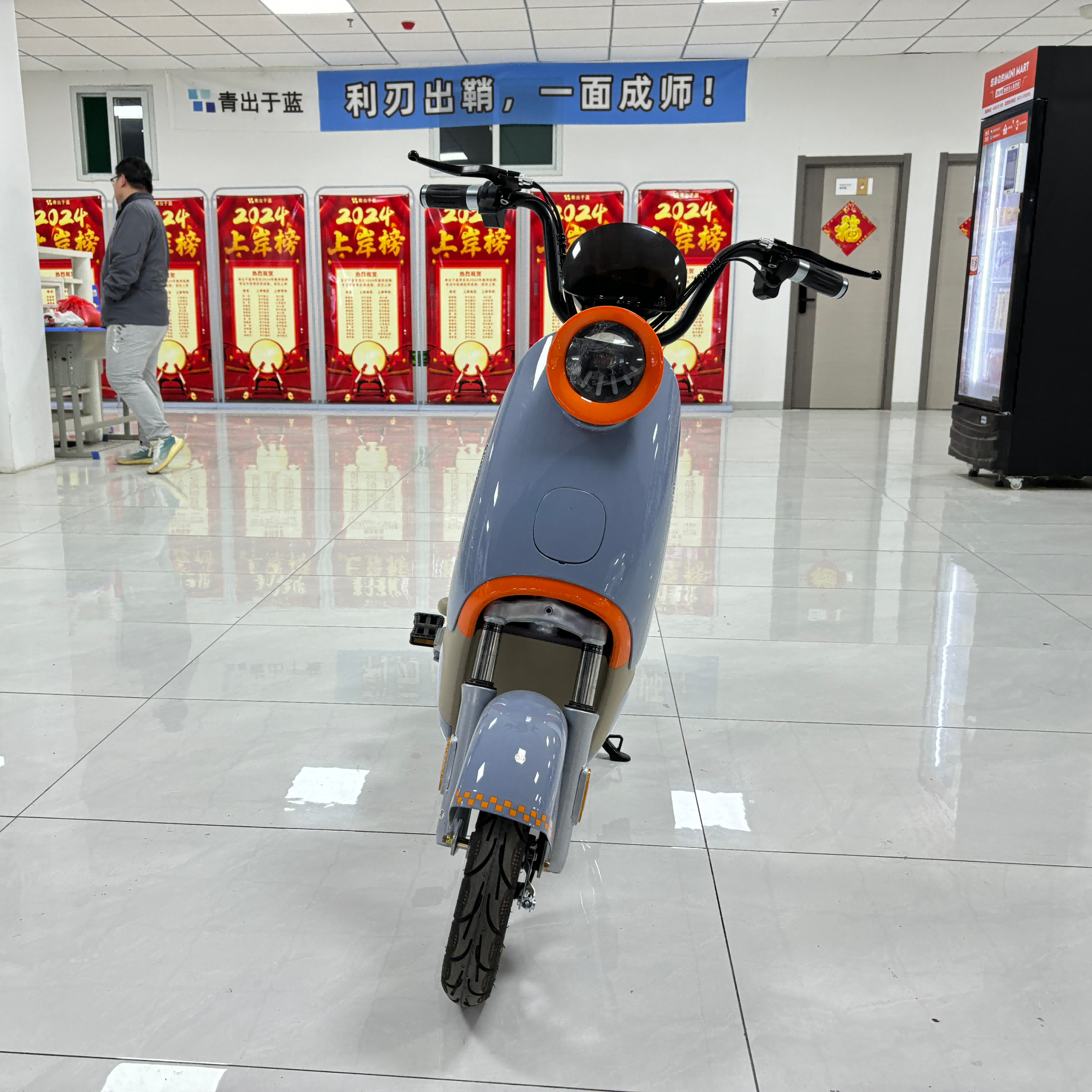 EU Warehouse Phoenix Brand 48V 500W 20AH 30AH City Commuting 14 Inch Electric Bike 2 Seats Electric Bike Adult Electric Bike