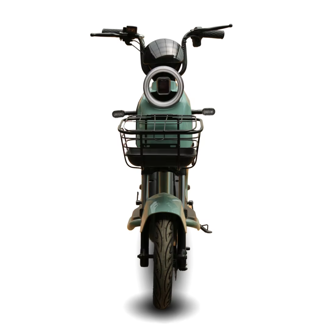 electric bikes ebike bicycles other electric bike adult electric city bike