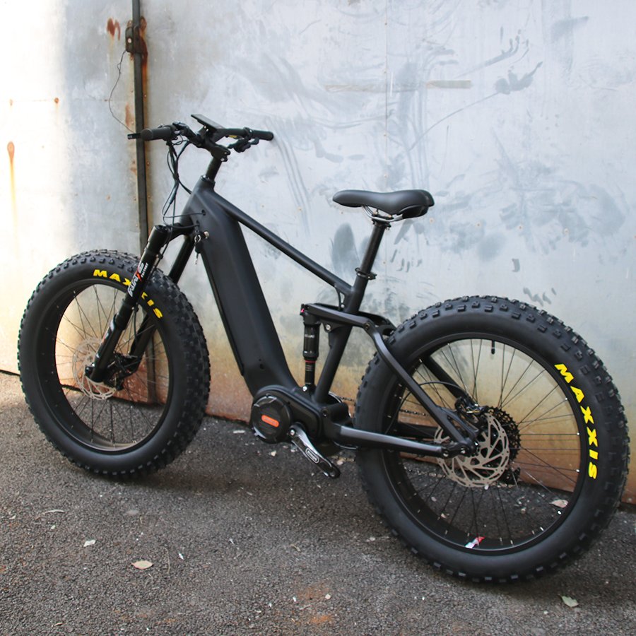 High speed powerful beach cruiser 48v 1000w mid drive fat tire mountain electric bike e bicycle ebike for adults