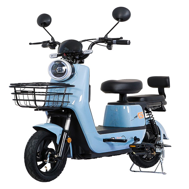 Foshan Cargo's Eco-Friendly 48V Lithium Battery Electric City Bike Petrigo Model Digital Smart Controller Convenient Tube