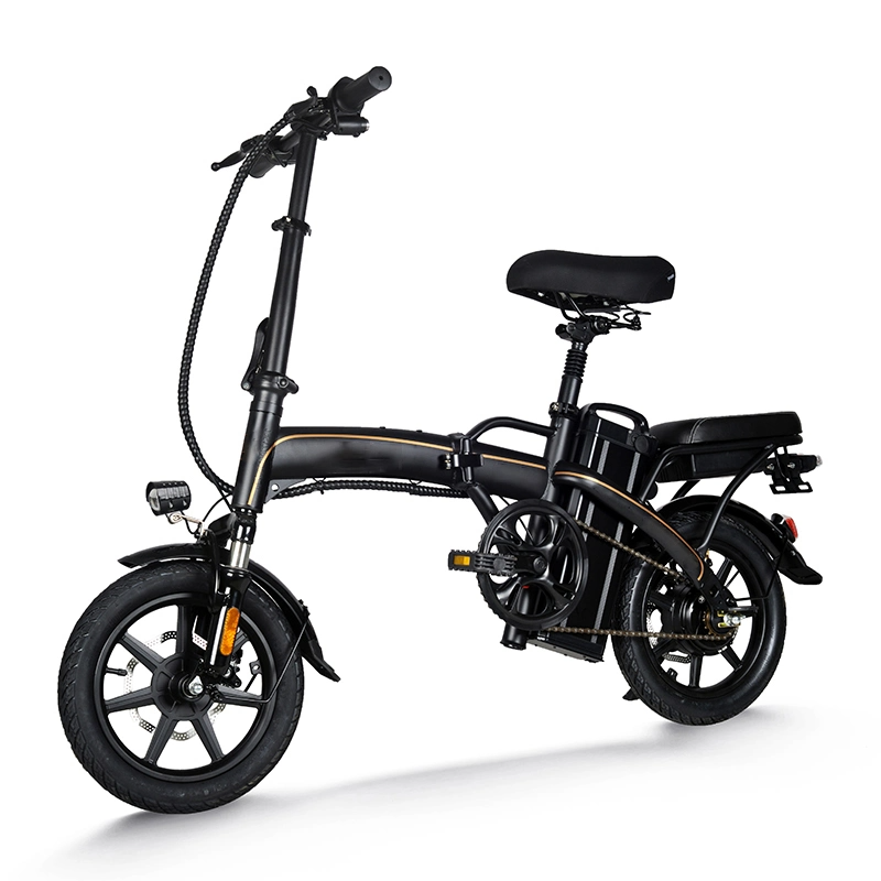 2024 48V 20Ah New Pedal Electric Bike with 300W Motor Powerful Adult City Electric Scooter Sale on Smart Electronic Bicycle