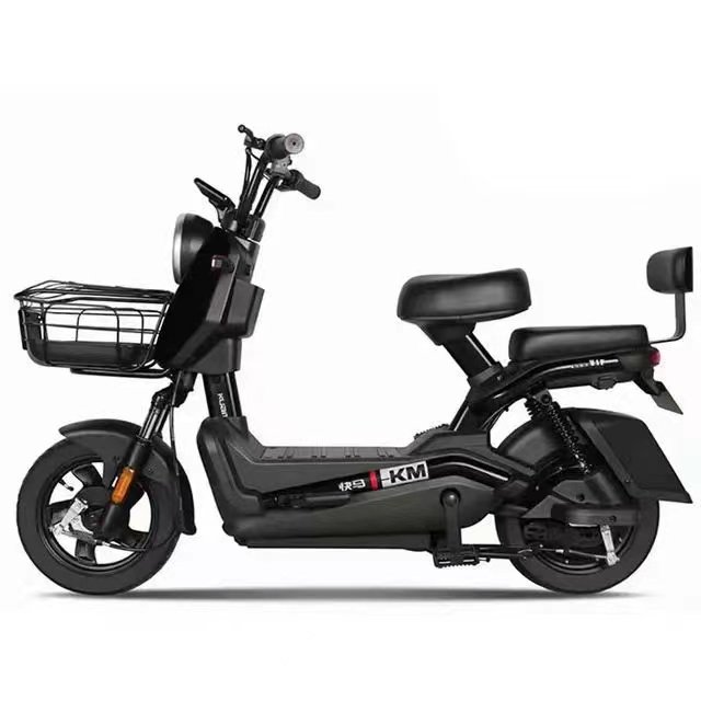 Great Price on New Design 48v 350w Electric Bike 20ah 14inch with Single Speed Gear Steel Frame Rear Hub Motor