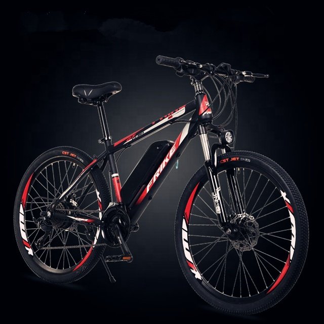 Factory direct sale electric mountain bikes bicycle 36v 250W bicicleta electrical e-bike24''/26'' for men