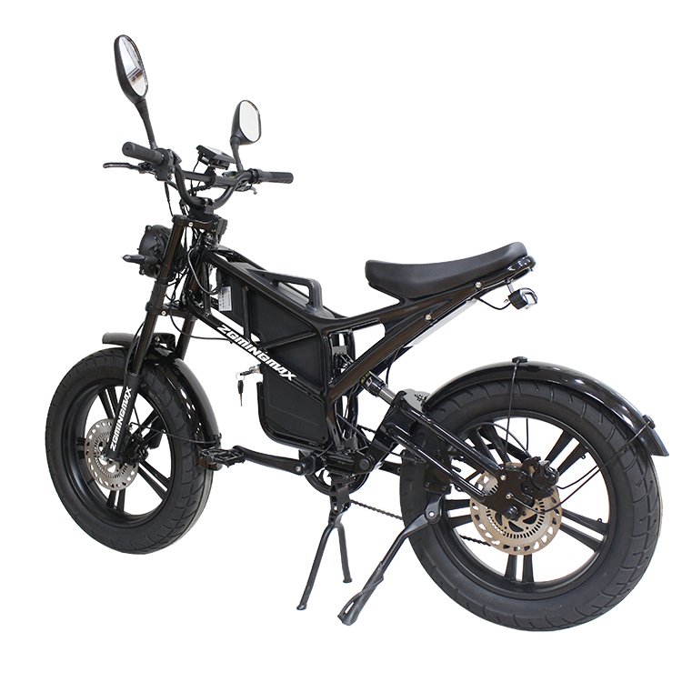 Electric Bicycle Fat Bike 48v 250w Fatbike Electric Mountain Bike