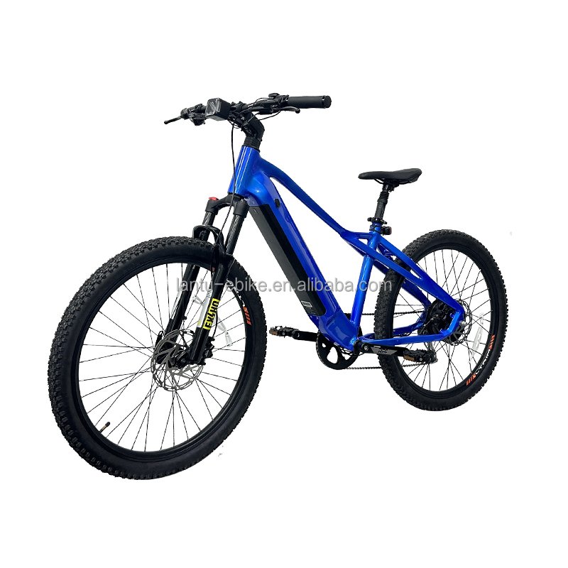 OEM manufacturer China supplier other electric mountain bike 27.5 29 tire electric bicycle cheap price ebike for adult