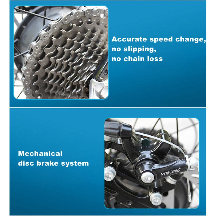 48V 750W 13A Pedal Assisted Electric Bicycle 21 Speed Velo Electrique 26inch Bike Electric 48V