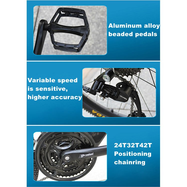 48V 750W 13A Pedal Assisted Electric Bicycle 21 Speed Velo Electrique 26inch Bike Electric 48V