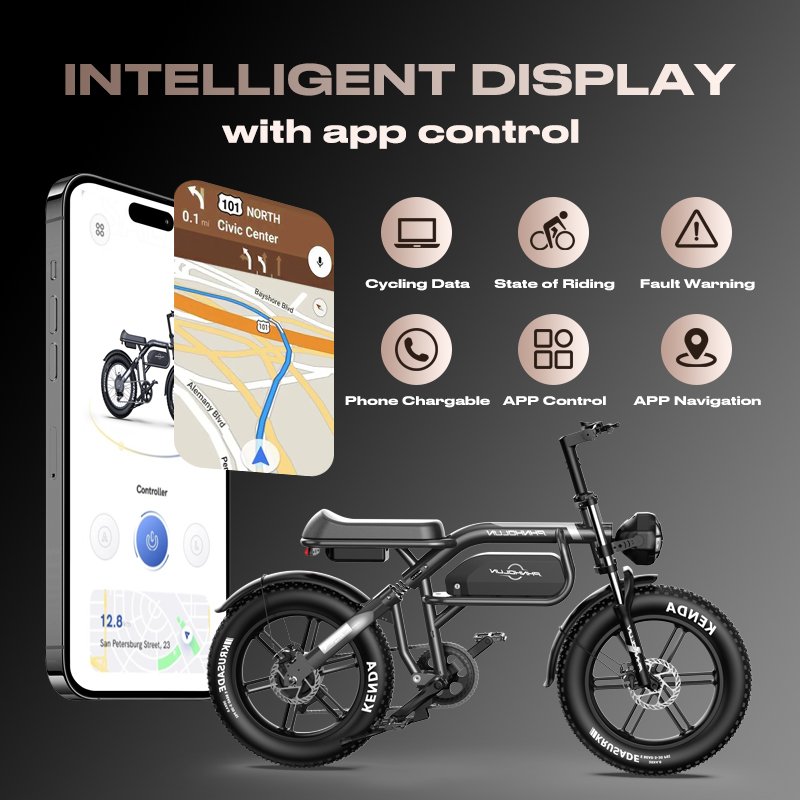 Popular 20 Inch 1000W 48V 15AH 50KM/H Electric City Fat Tire Bicycle Ebike Electric Mountain Bike For Adults