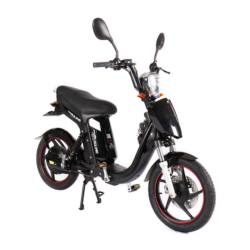 Factory Custom 18 Inch Fat Tire Electric Mountain Bike Electric Bike Adult