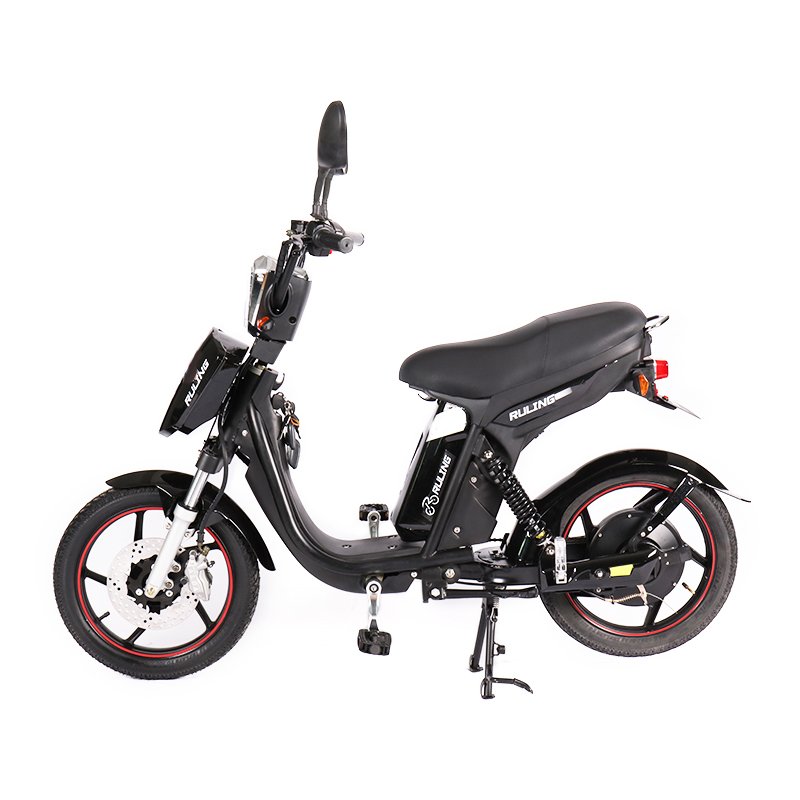 Factory Custom 18 Inch Fat Tire Electric Mountain Bike Electric Bike Adult