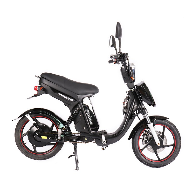 Factory Custom 18 Inch Fat Tire Electric Mountain Bike Electric Bike Adult