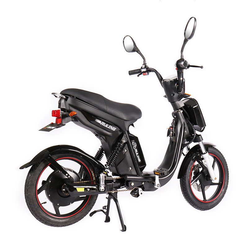 Factory Custom 18 Inch Fat Tire Electric Mountain Bike Electric Bike Adult