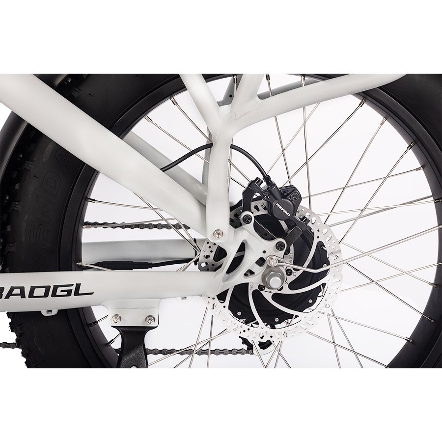 US electric bicycle electric dirt bike Aluminum Frame 1000w 48V 20ah Electric Bicycle /7 Speed Electric Mountain Bike