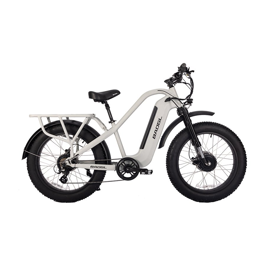 US electric bicycle electric dirt bike Aluminum Frame 1000w 48V 20ah Electric Bicycle /7 Speed Electric Mountain Bike