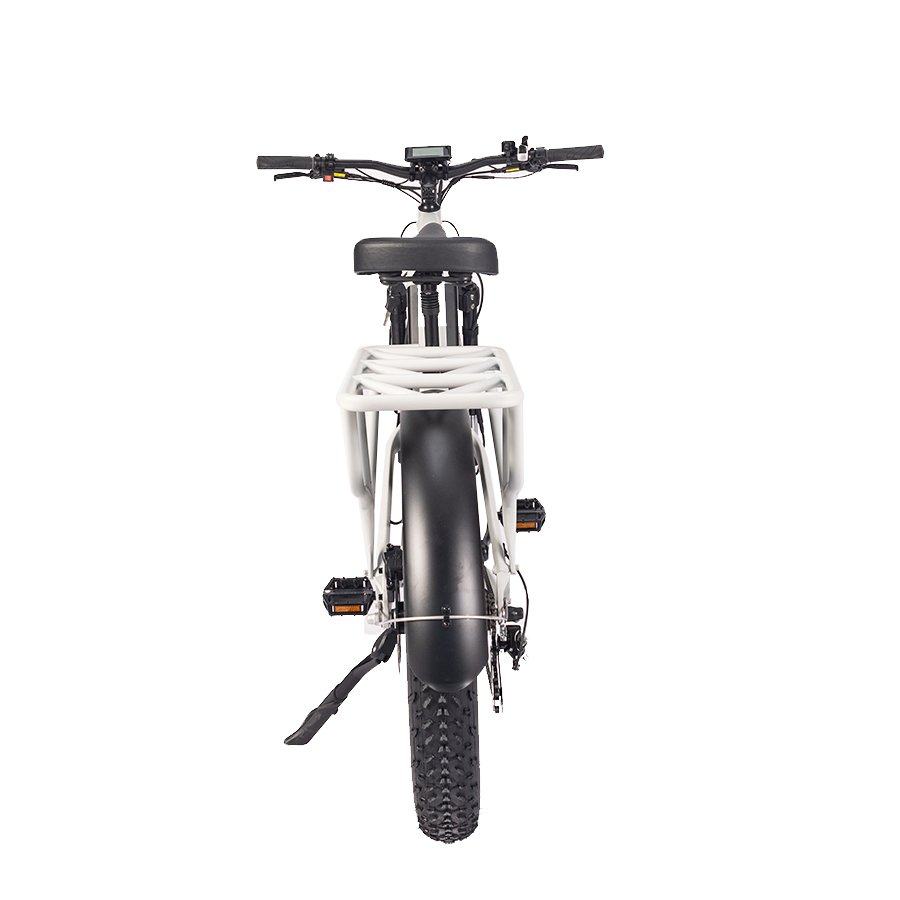 US electric bicycle electric dirt bike Aluminum Frame 1000w 48V 20ah Electric Bicycle /7 Speed Electric Mountain Bike