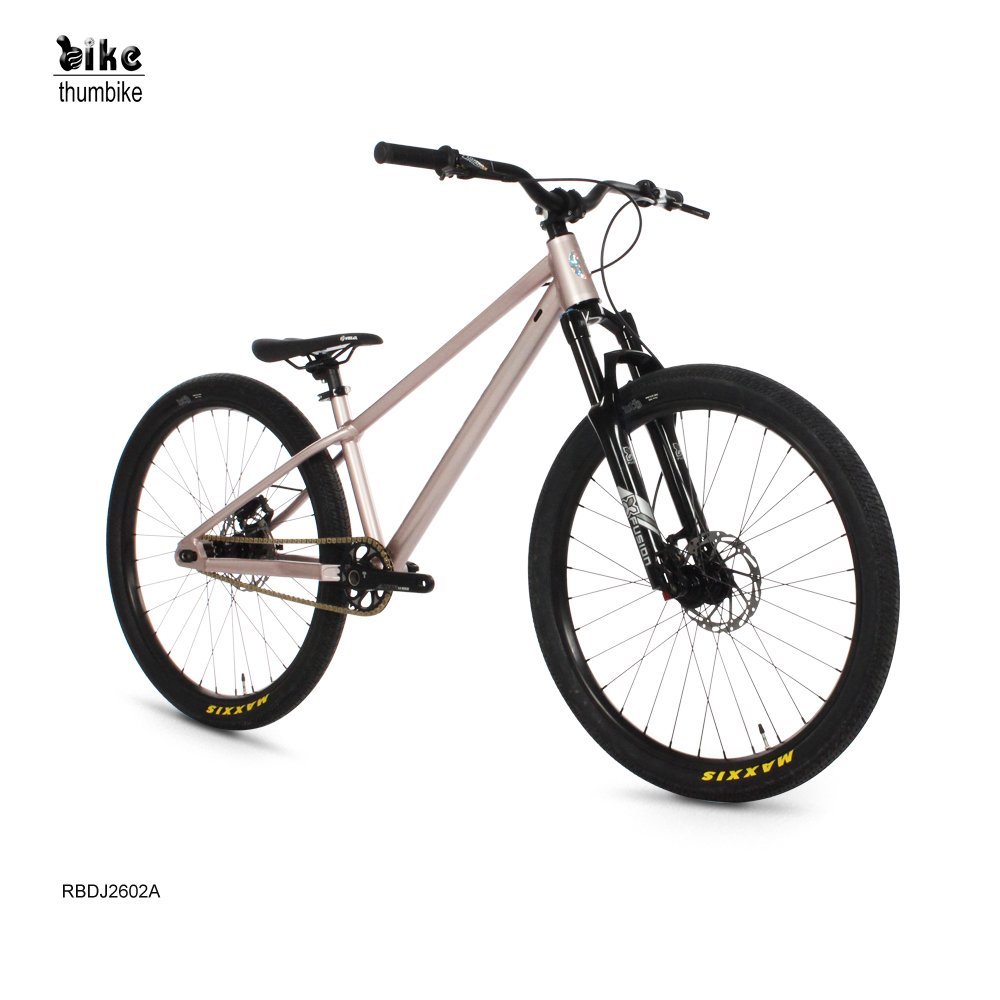 2024 hot sell bicycle 26 inch aluminum dirt jump bike factory customized dirt bike OEM good quality mountain bike