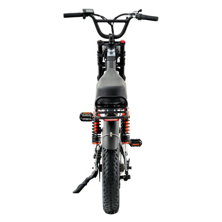 Electric Mountain Bike for Outdoors Electric Off Road Scooter Bicycle with F&R Inflatable Off-Road Tire