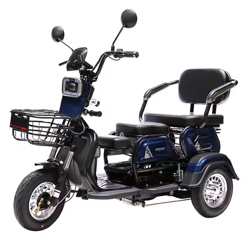 2 Seats 3 Wheel Ebike Electric Passenger Cargo Tricycle