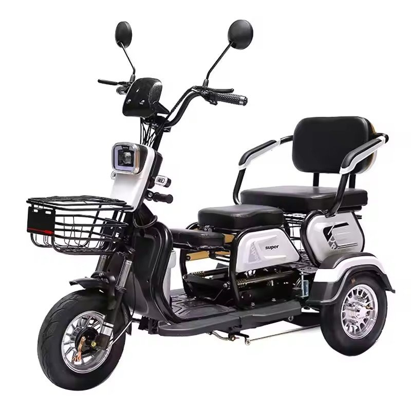 2 Seats 3 Wheel Ebike Electric Passenger Cargo Tricycle