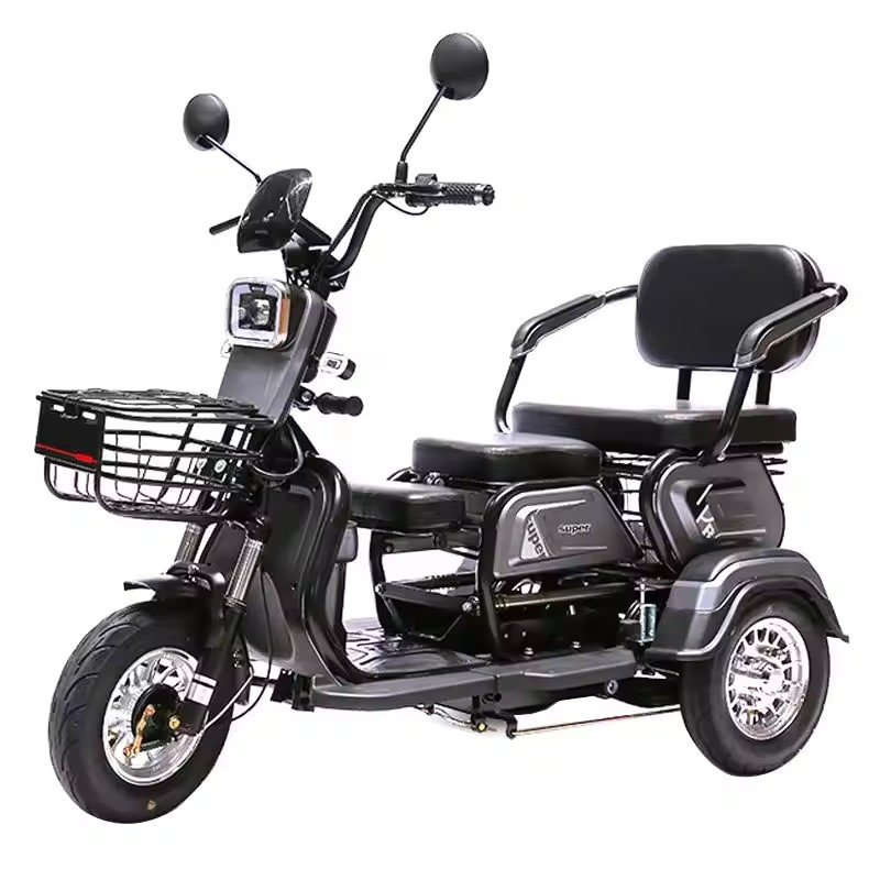 2 Seats 3 Wheel Ebike Electric Passenger Cargo Tricycle