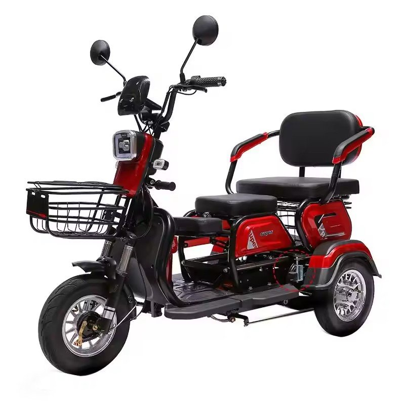 2 Seats 3 Wheel Ebike Electric Passenger Cargo Tricycle