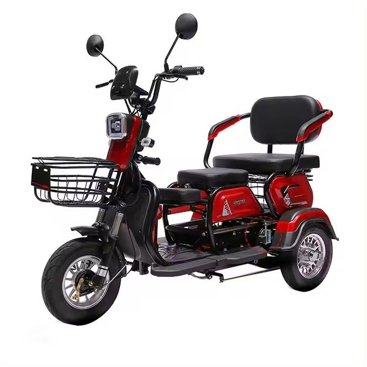 2 Seats 3 Wheel Ebike Electric Passenger Cargo Tricycle
