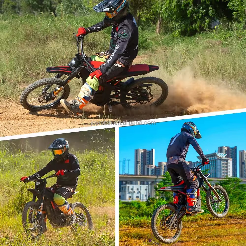 High Performance 19-inch 2 Wheel Mid Drive Hydraulic Shock Absorbed Adult Dirt Electric Mountain Bike 72V 3000W