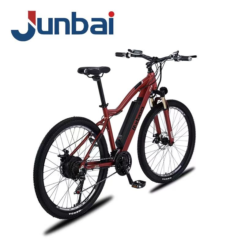 High End OEM Wholesale 27.5/29 Inch 48V 500W Drive Motor Mountain Electric Bike Bicycle