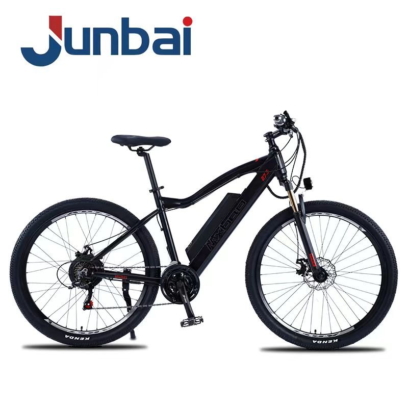 High End OEM Wholesale 27.5/29 Inch 48V 500W Drive Motor Mountain Electric Bike Bicycle