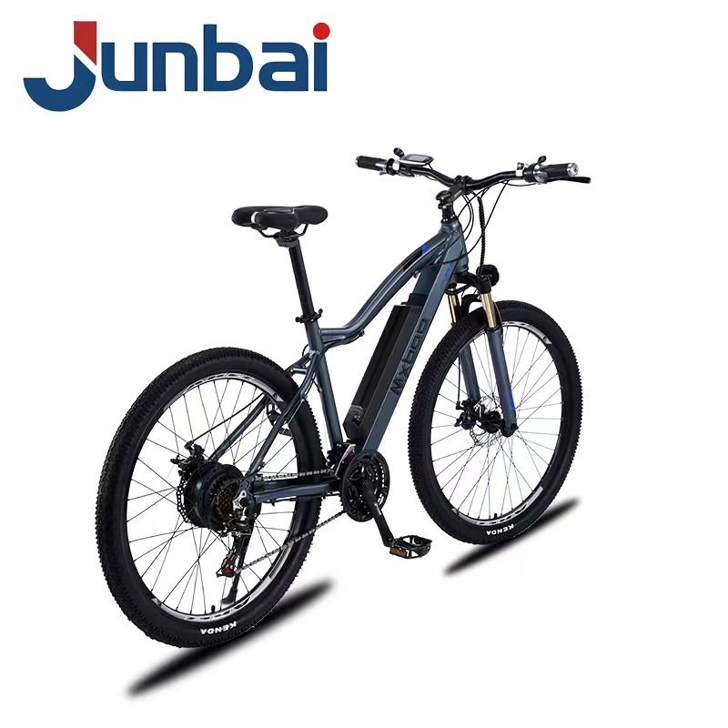 High End OEM Wholesale 27.5/29 Inch 48V 500W Drive Motor Mountain Electric Bike Bicycle