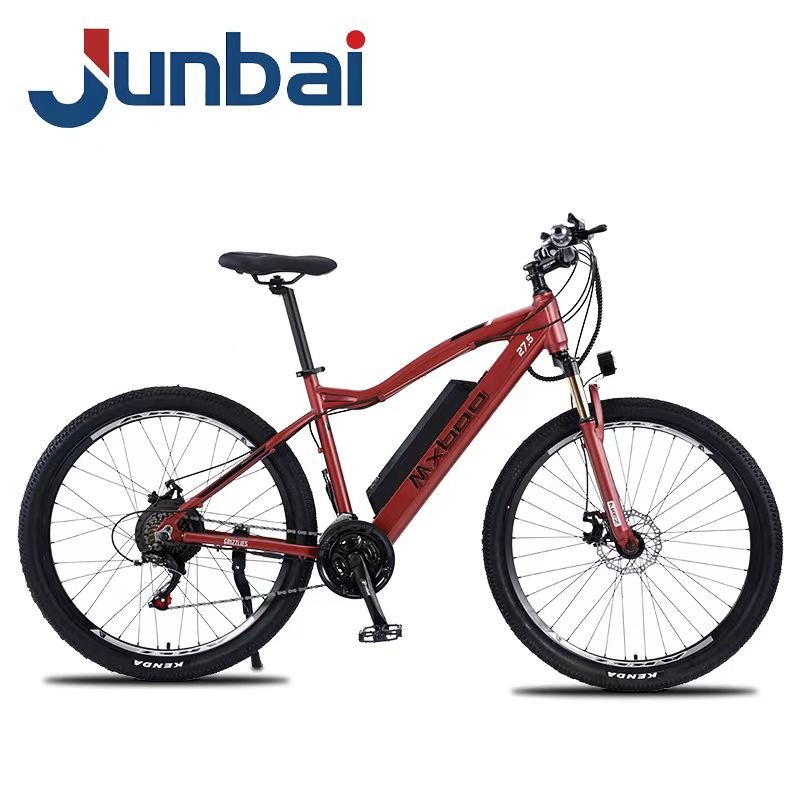 High End OEM Wholesale 27.5/29 Inch 48V 500W Drive Motor Mountain Electric Bike Bicycle