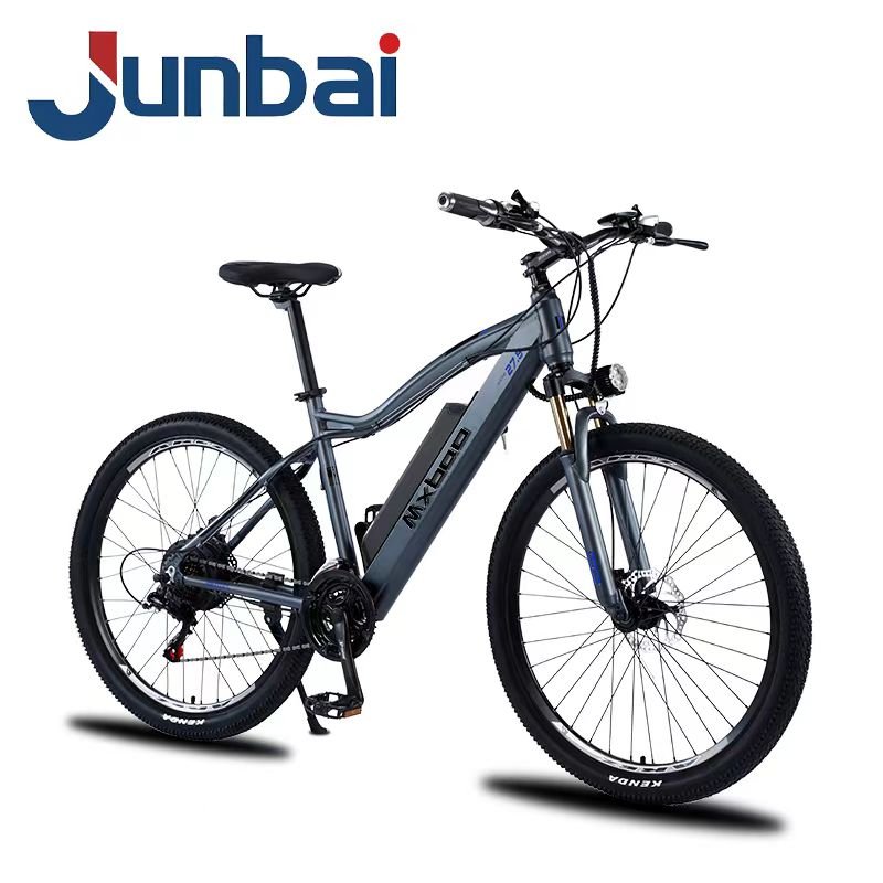 High End OEM Wholesale 27.5/29 Inch 48V 500W Drive Motor Mountain Electric Bike Bicycle