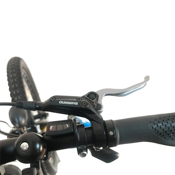 GDSEBIKE FAST DELIVERY IN STOCK Bike 250w 500W Chinese Adult Electric Bikes