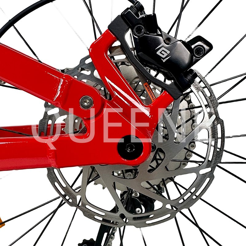 Custom Long Range Adult Aluminium Alloy Frame Full Suspension Bike Mid Drive Electric Mountain Bicycle