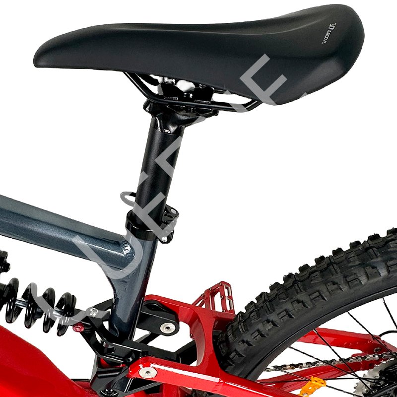 Custom Long Range Adult Aluminium Alloy Frame Full Suspension Bike Mid Drive Electric Mountain Bicycle