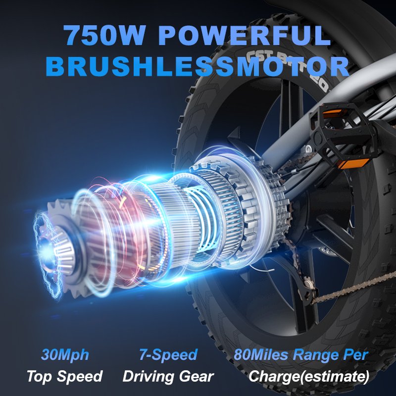 JANSNO X50 48V 750W 1000W Electric Bicycle Electric Bike Fatbike Fat Bike For Adult