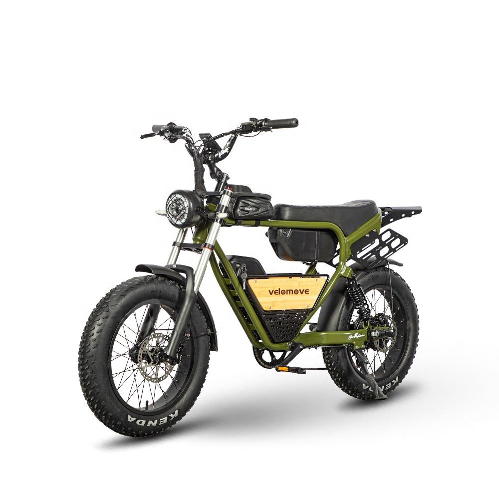 2024 New Style 20 wheel size 100 watt e-bike electric mountain bike with 20inch Fat Tire