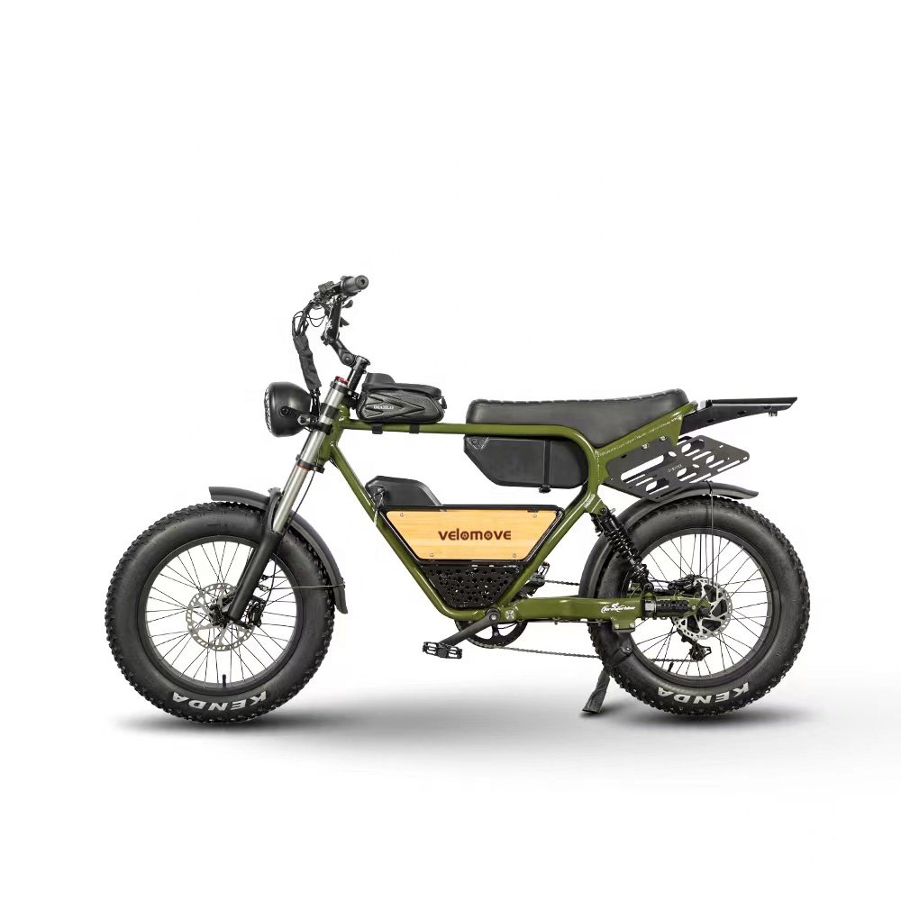 2024 New Style 20 wheel size 100 watt e-bike electric mountain bike with 20inch Fat Tire
